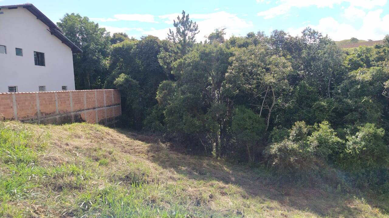 Terreno, 541 m² - Foto 5