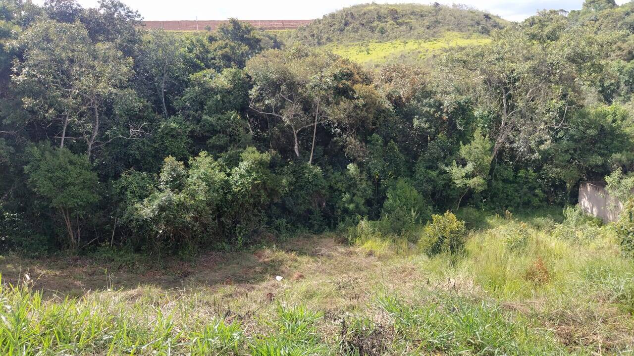 Terreno, 541 m² - Foto 4