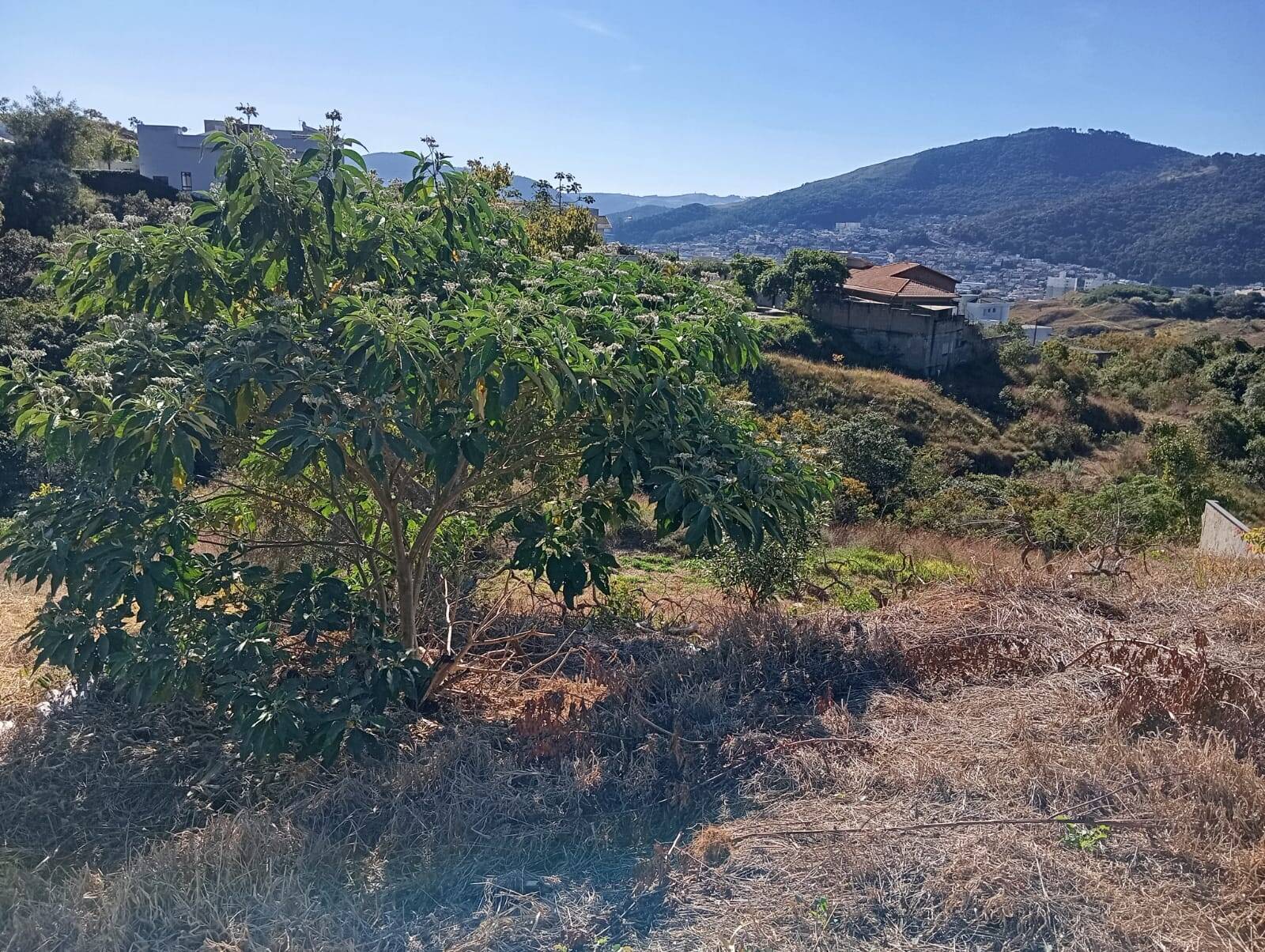 Terreno, 598 m² - Foto 3