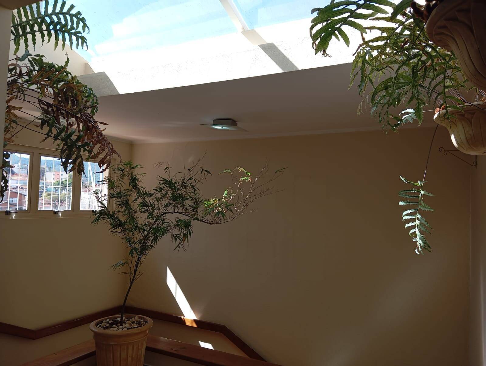 Casa, 5 quartos, 615 m² - Foto 5