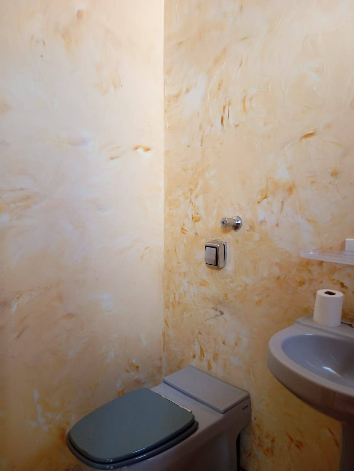 Casa, 5 quartos, 615 m² - Foto 26