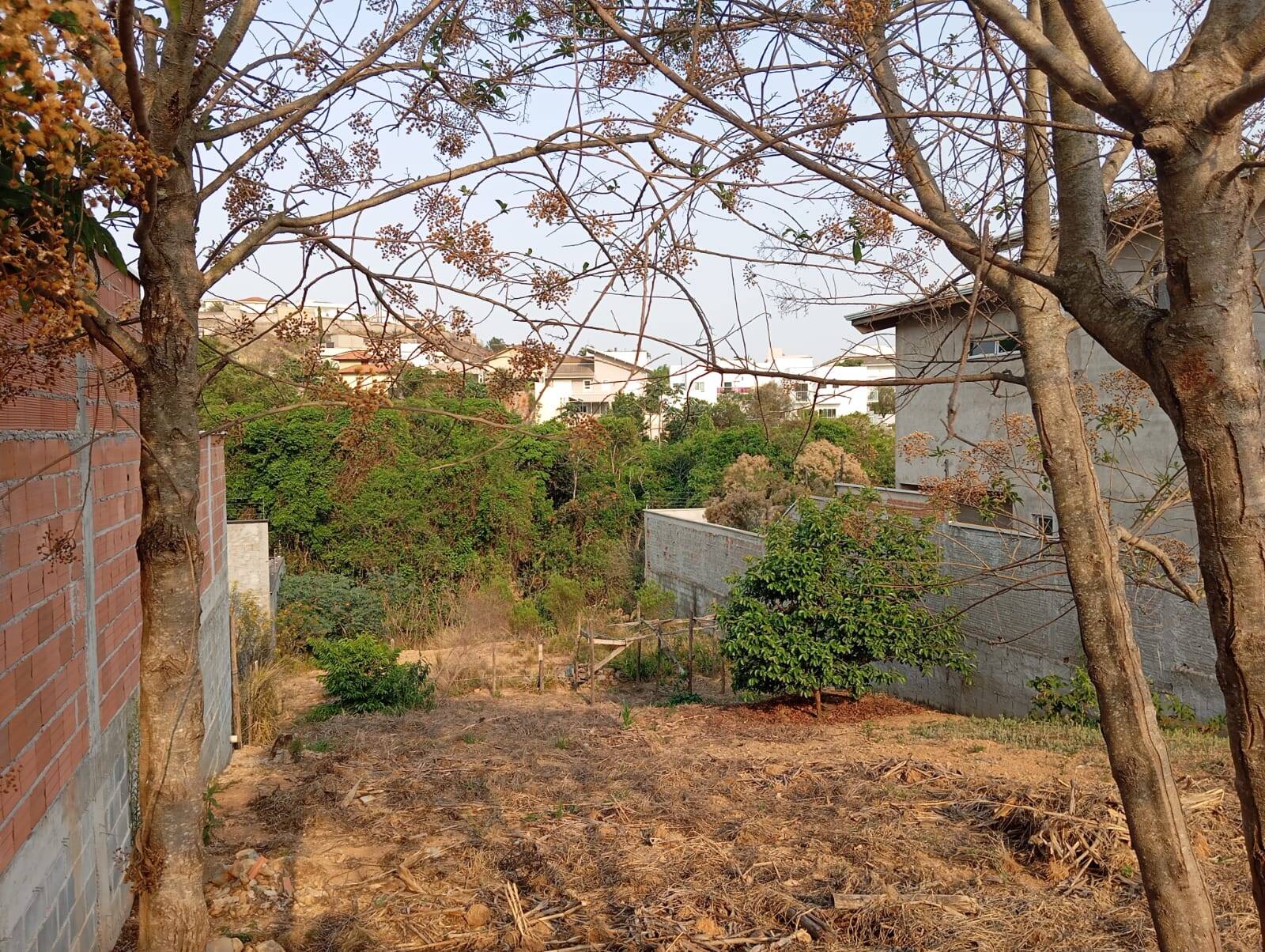 Terreno, 458 m² - Foto 3
