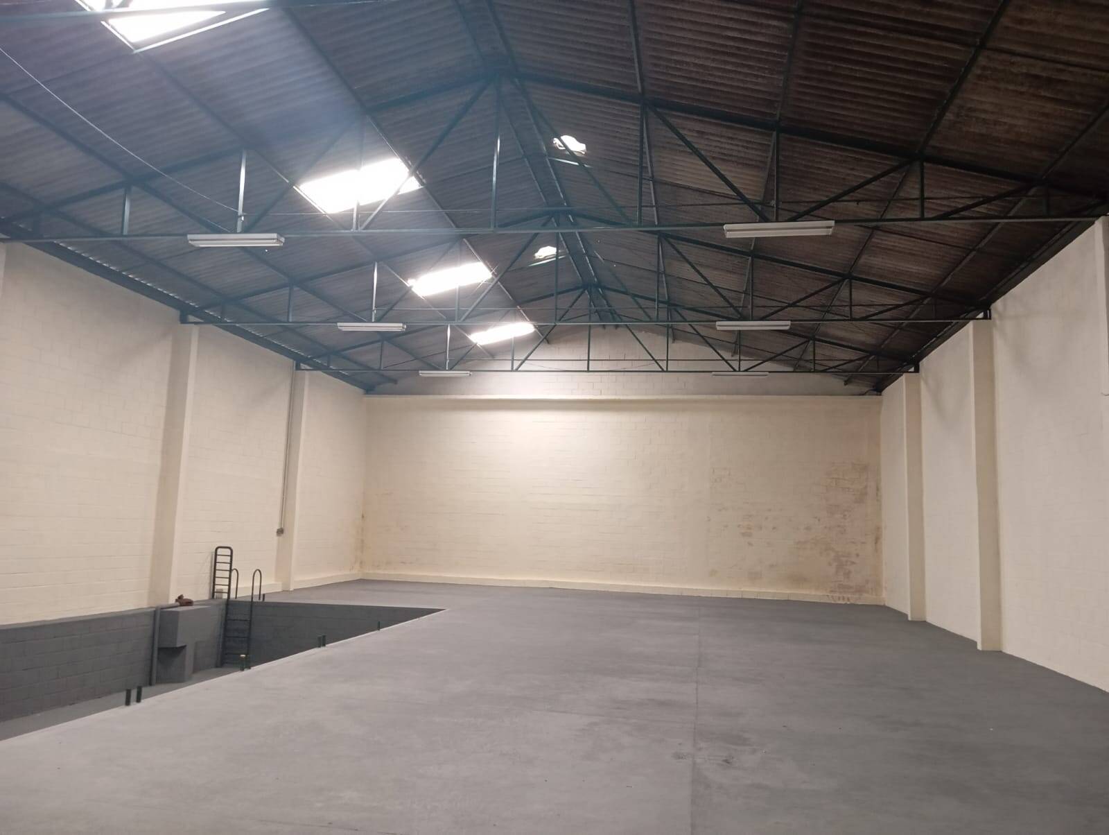 Sala-Conjunto, 493 m² - Foto 3