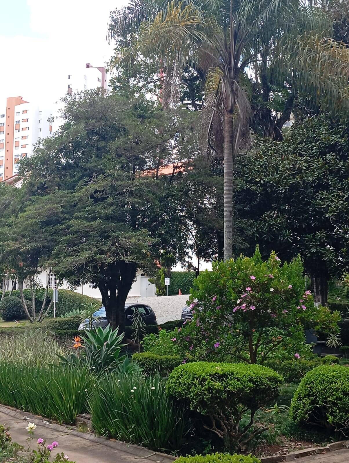 Apartamento, 1 quarto - Foto 42