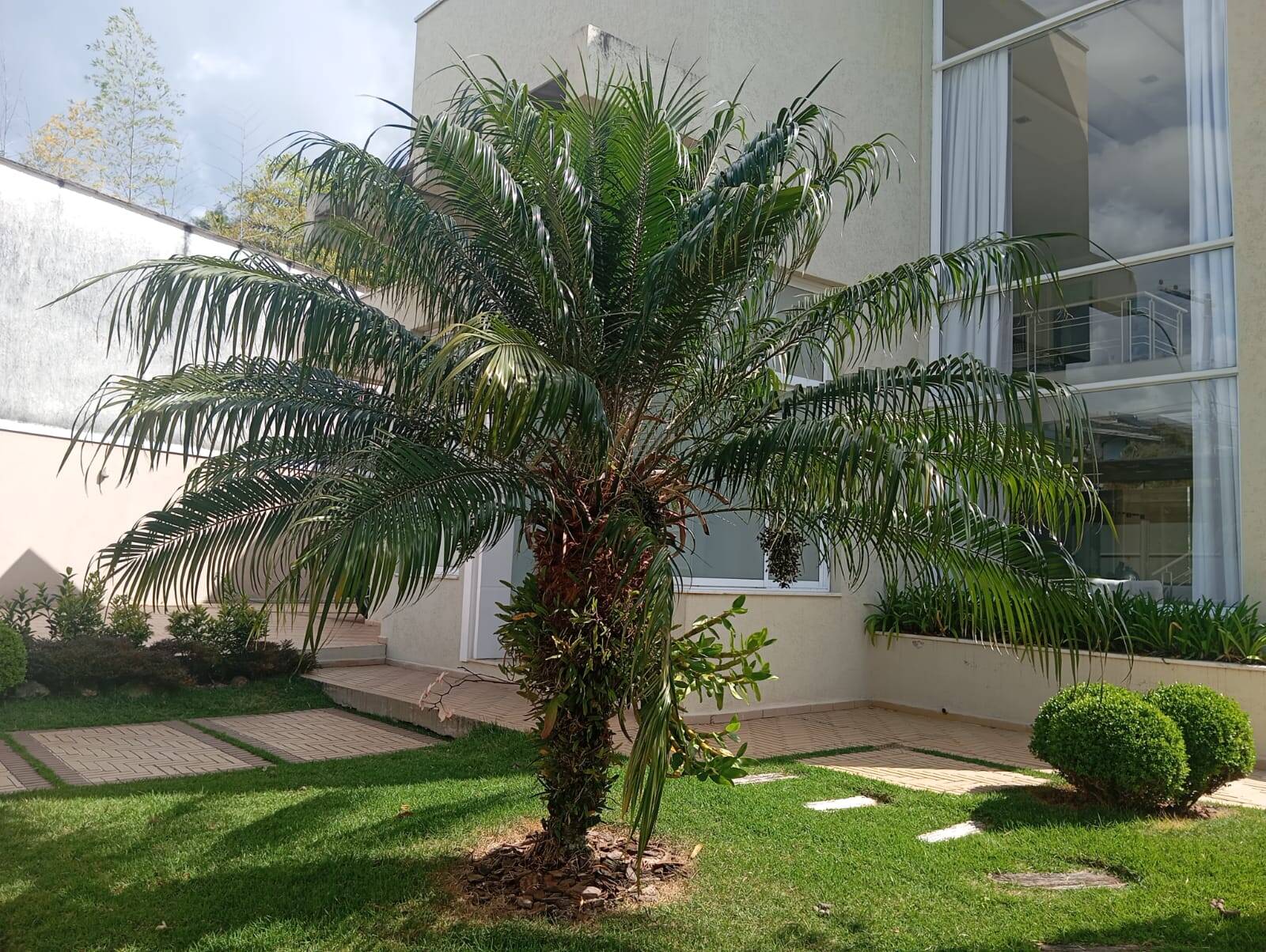Casa, 4 quartos, 473 m² - Foto 1