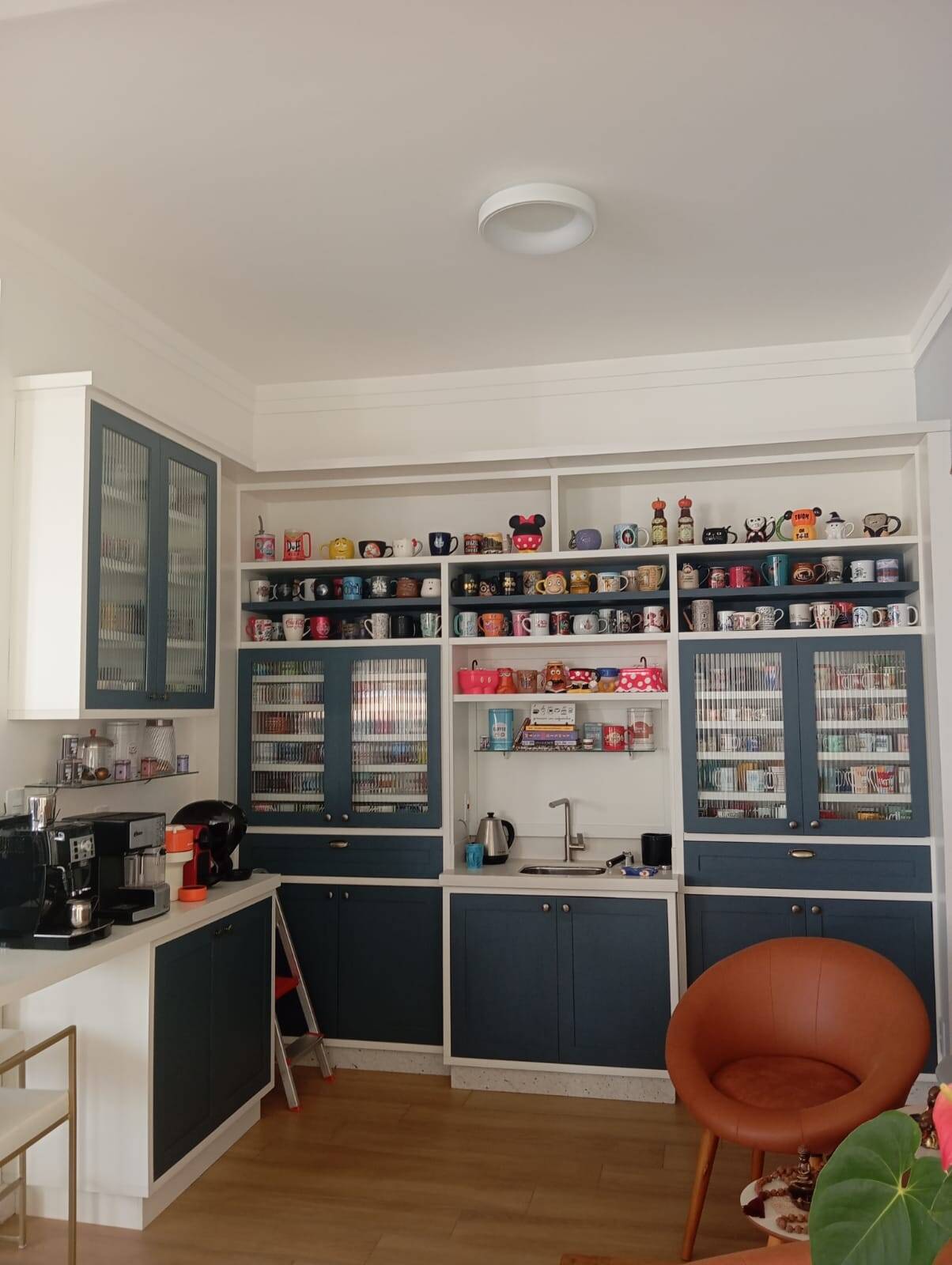 Casa, 4 quartos, 473 m² - Foto 21
