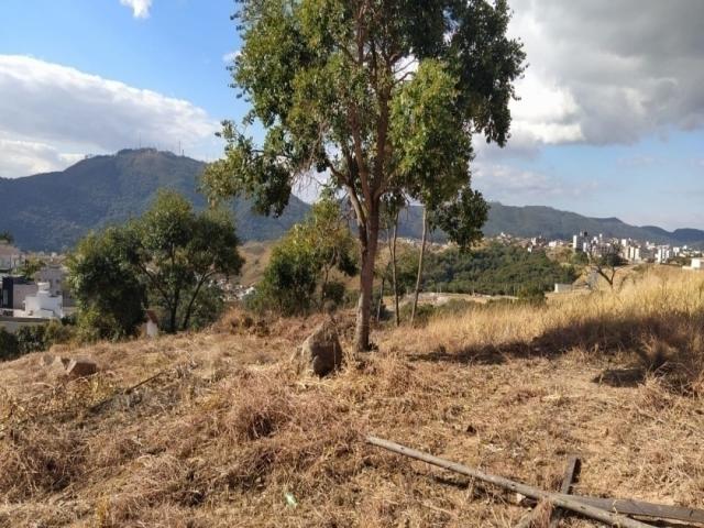 #217 - Área para Venda em Poços de Caldas - MG - 3