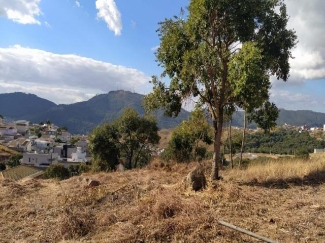 #217 - Área para Venda em Poços de Caldas - MG - 1