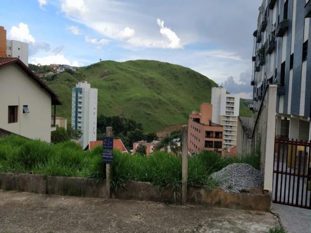 #359 - Área para Venda em Poços de Caldas - MG - 3