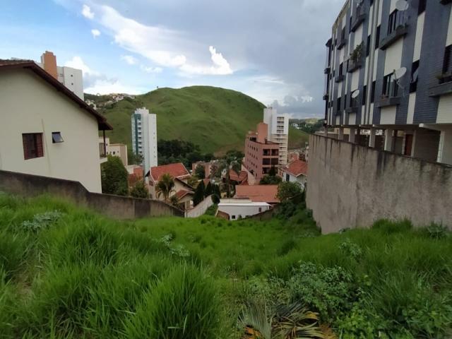 #359 - Área para Venda em Poços de Caldas - MG - 1